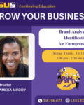 LSUS Brand Analysis & Identification Fall 2023